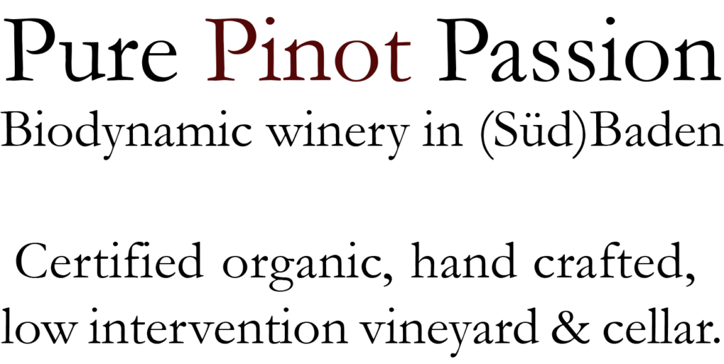 pure pinot passion
biodynamic winery in Südbaden
Certified organic, hand crafted
low interventionvineyard & cellar.
